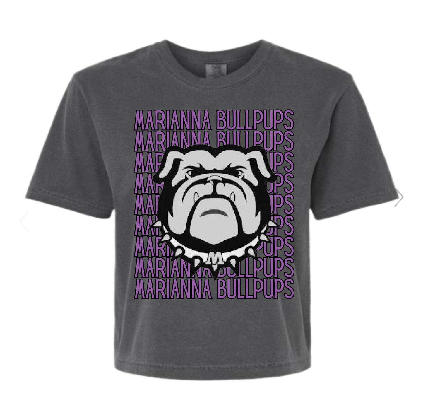 Marianna Bullpups