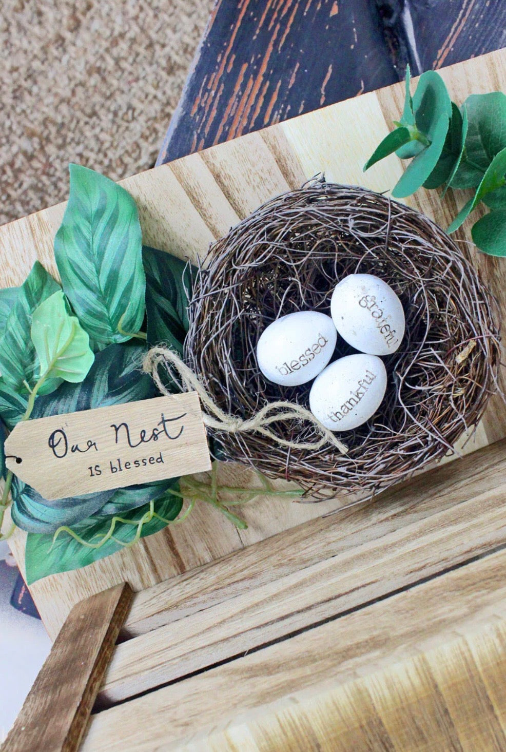 Bird Nest/Eggs